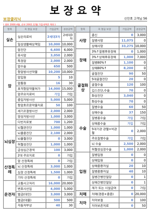 보장 요약